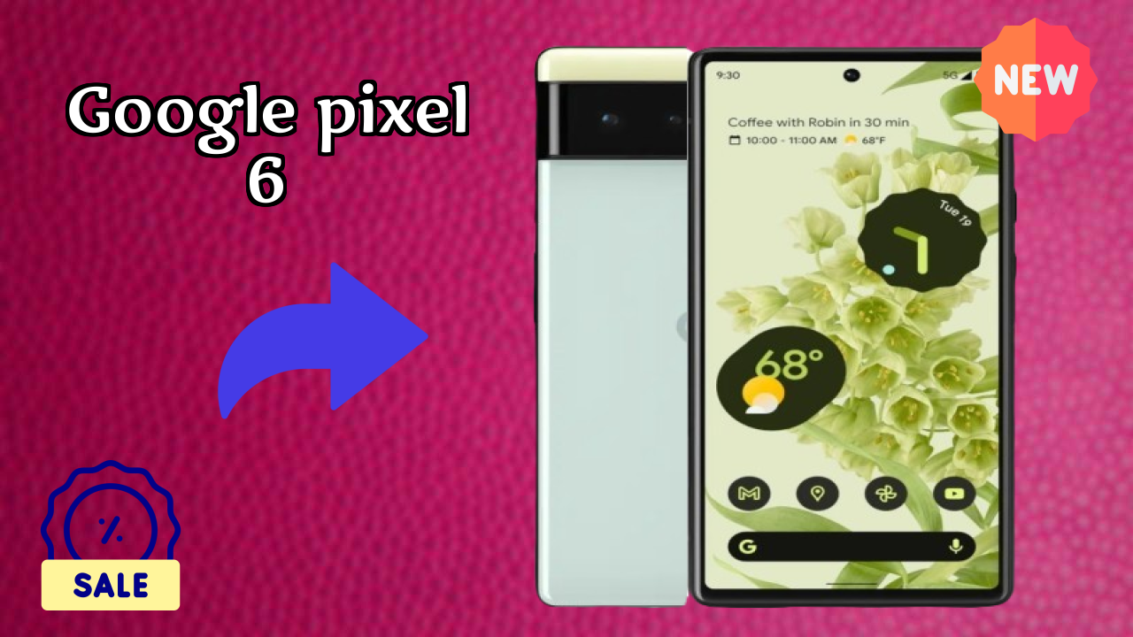 Google Pixel 6 Camera Review: 50 MP + 12 MP Rear Camera Real Test
