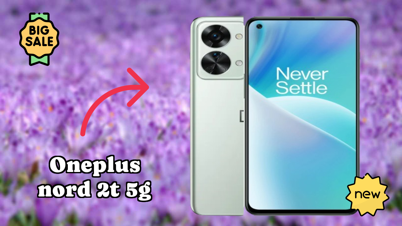 OnePlus Nord 2T 5G Camera Review: 50 MP + 8 MP + 2 MP Rear Camera Low Light