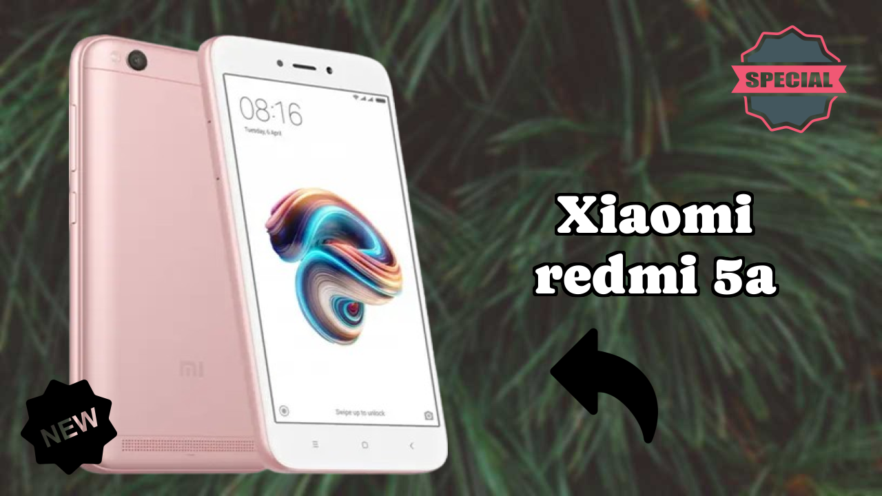 Xiaomi Redmi 5A Camera Review: 13 MP Rear Camera Photo Quality